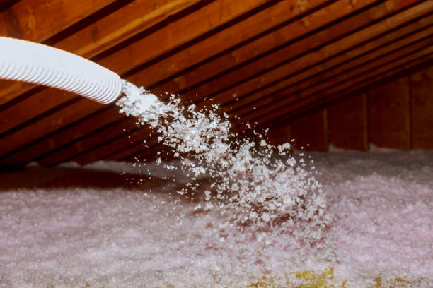 Types of Insulation We Offer in Warm Beach, WA