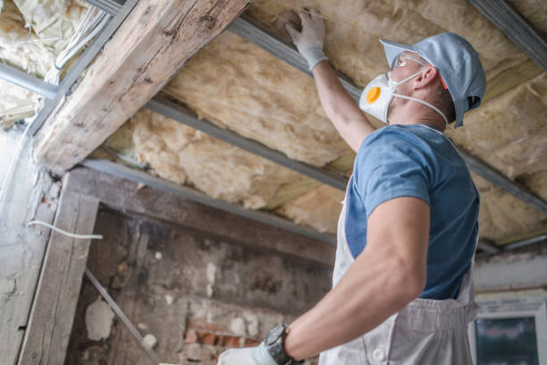 Professional Insulation Contractor in Warm Beach, WA