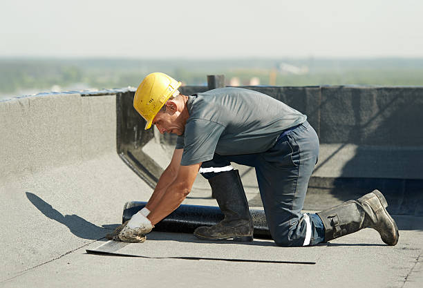 Best Cellulose Insulation in Rm Beach, WA
